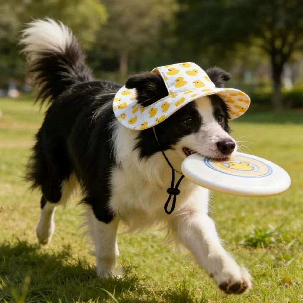 Printed Pet Dog Hat Adjustable – Running Cap Lightweight recenzja i cena